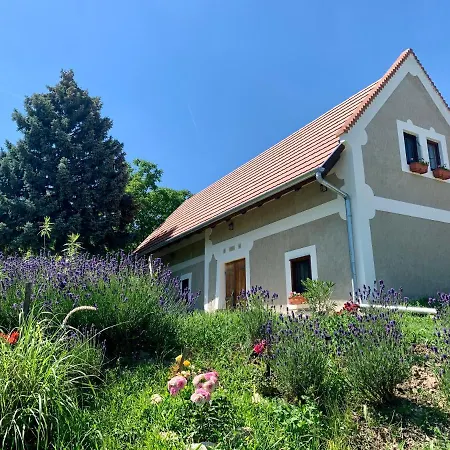 Balaton With A Majestic View Holiday home *