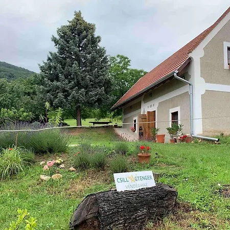Csillagtenger- Balaton With A View Holiday home *