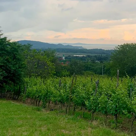 Balaton With A Majestic View * Balatonederics