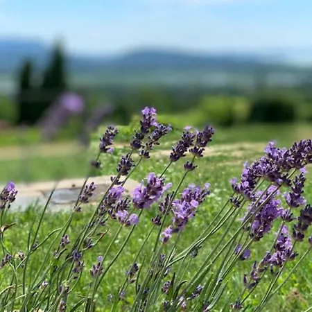 Balaton With A Majestic View