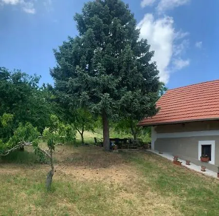 Csillagtenger- Balaton With A View *