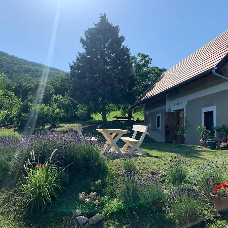 Balaton With A Majestic View Holiday home